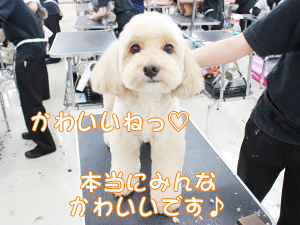 かわいいねって言ってみました☆